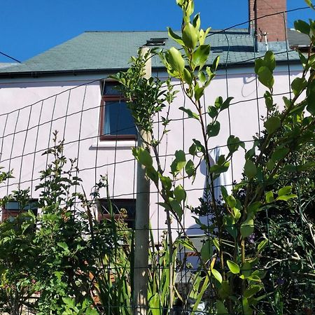 Clearview Cottage Сент-Остел Экстерьер фото