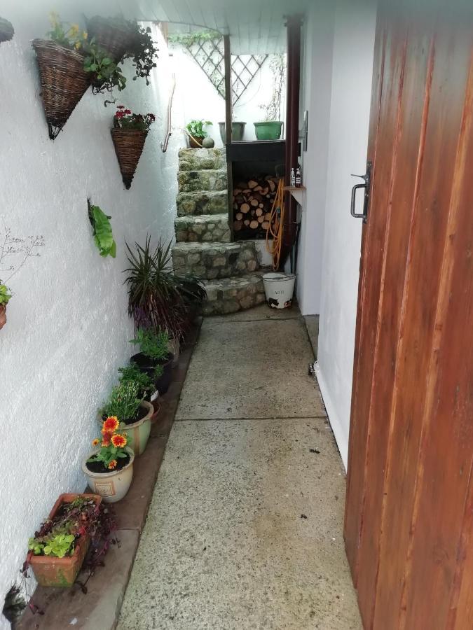 Clearview Cottage Сент-Остел Экстерьер фото